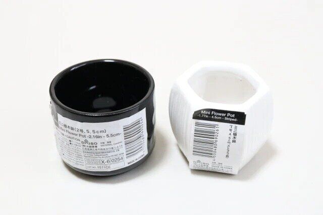 ダイソーのミニ植木鉢2種