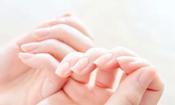 【大阪府大阪市】セミナーやマルシェが楽しめる「からだ・こころ うるおう 漢方＆薬膳イベント」開催！