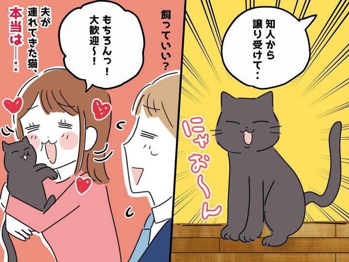 画像: 夫が連れてきた猫は、“愛人へのプレゼント”！？ 真実を知った私。それでも『手放さなかったワケ』
