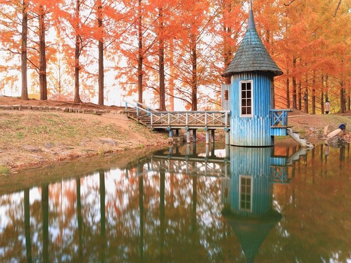 All About ニュース編集部は、全国10～60代の男女250人を対象に「紅葉スポット」に関する独自のアンケート調査を実施。好き＆行ってみたい「埼玉県の紅葉スポット」で1位に選ばれたのは？