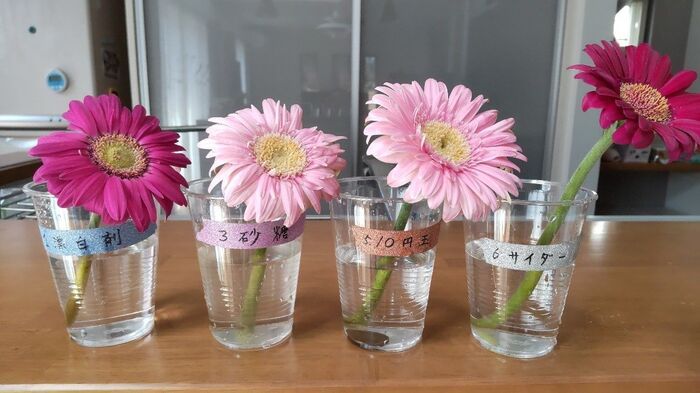 切り花を「一番長持ちさせる方法」は？身近なアイテム6つで検証した意外な結果