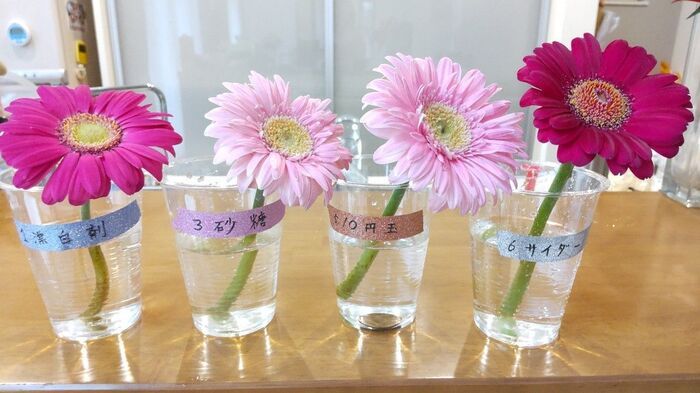 切り花を「一番長持ちさせる方法」は？身近なアイテム6つで検証した意外な結果