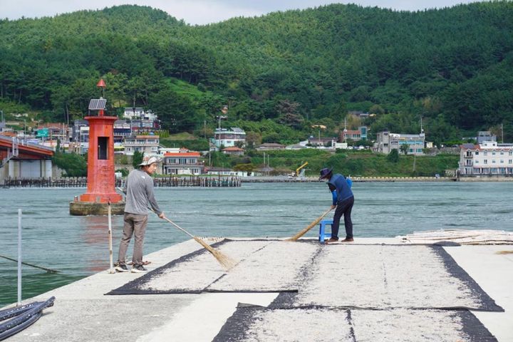 カタクチイワシを干す作業をしている人も。1匹食べてみましたが、ほんのりしょっぱくておいしかったです。