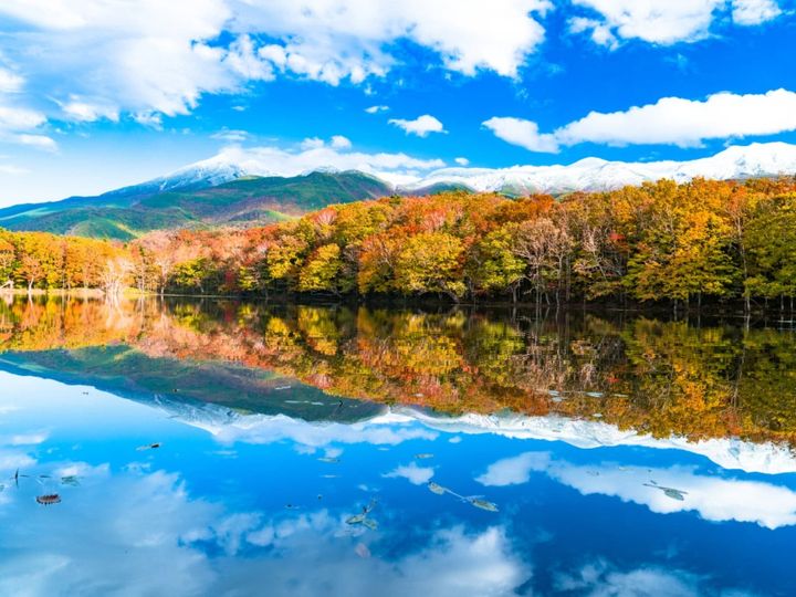 All About ニュース編集部が全国250人を対象に実施した絶景スポットに関するアンケート」の調査結果から、秋に行きたいと思う「北海道の絶景スポット」ランキングを発表！ 2位「知床五湖」を抑えた1位は？