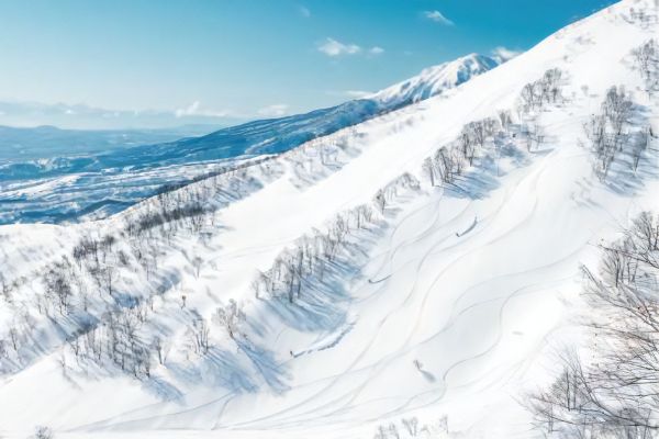 ソロキャンプにおすすめのテント4選！タイプ別のメリットとデメリットを徹底解説！