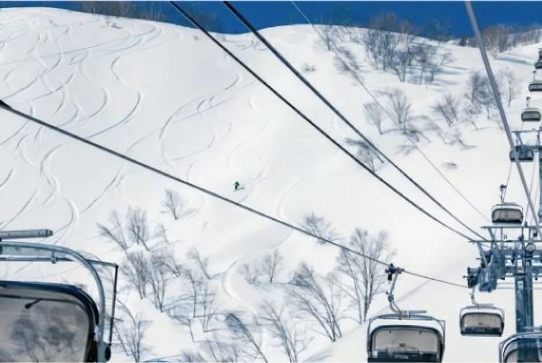 ソロキャンプにおすすめのテント4選！タイプ別のメリットとデメリットを徹底解説！