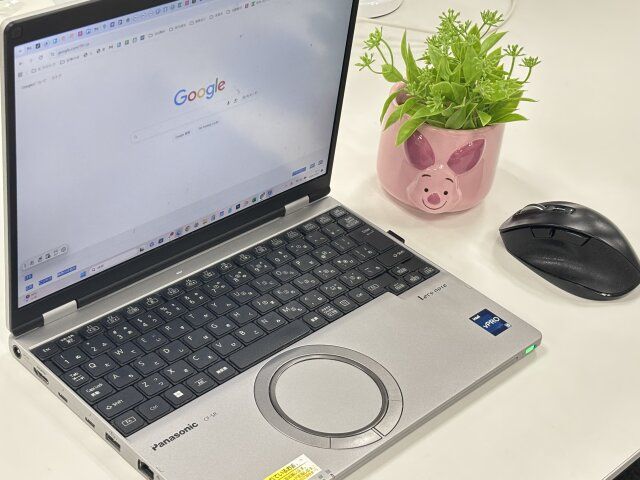 ダイソーのピグレットの植木鉢は小ぶりで飾りやすい