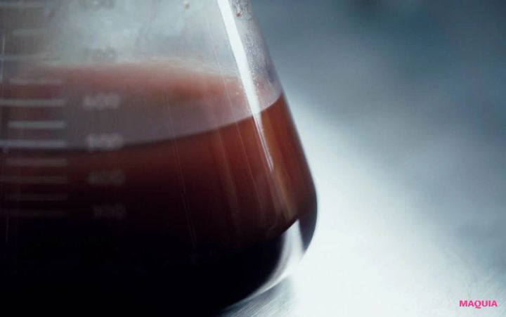 MAQUIA 12月号 付録 FAS アイクリーム 黒米発酵液