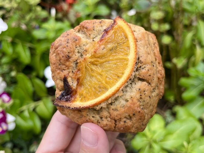 conne（コンネ）オレンジティー