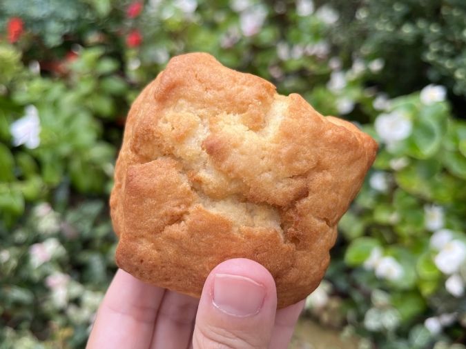 conne（コンネ）プレーン