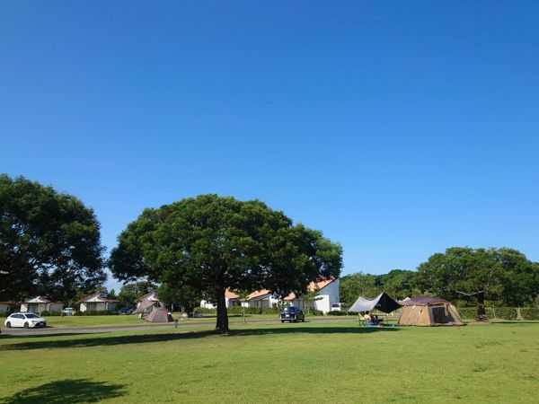 ワークマンの新作がコスパ最強！日常使いできるレディース寝具が優秀すぎる！