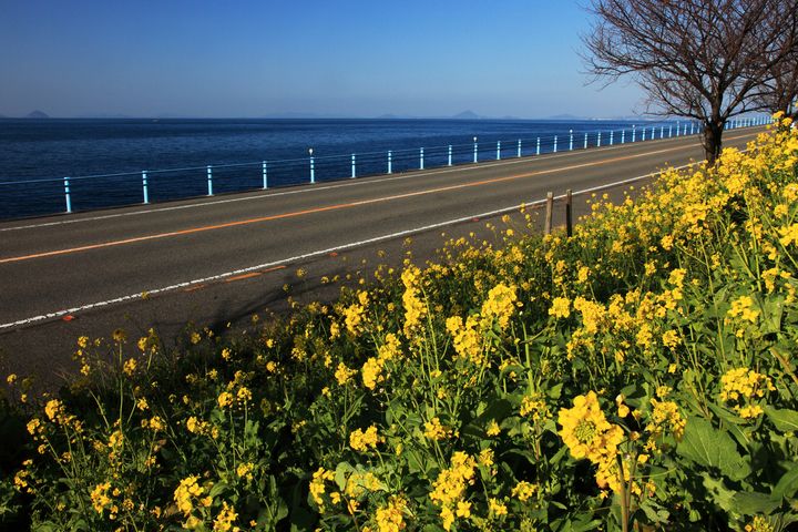 冬でも快適！温暖な気候と絶景を楽しむシーサイド10選