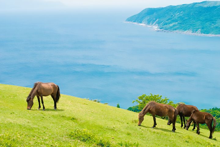 冬でも快適！温暖な気候と絶景を楽しむシーサイド10選