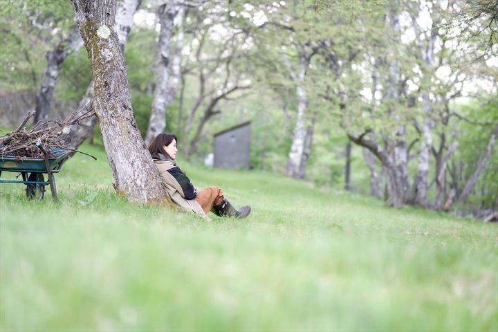 映画『もういちどみつめる』場面写真 （C）Aerial Films width=