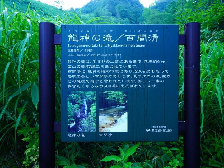 All About ニュース編集部が全国250人を対象に実施した秋に行きたい滝に関するアンケートの調査結果から、「富山県で秋に行きたい滝」ランキングを発表！ 2位「龍神の滝」を抑えた1位は？