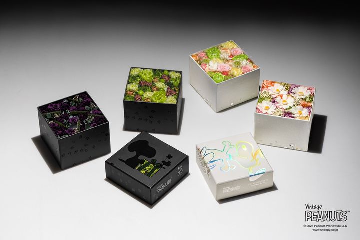 Nicolai Bergman meets PEANUTS.のコラボレーション