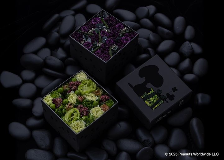 ニコライ・バーグマン PEANUTS Journey Black 