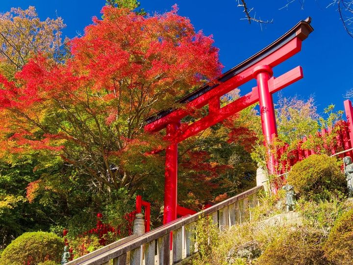 All About ニュース編集部は、全国10～60代の男女250人を対象に「紅葉スポット」に関する独自のアンケート調査を実施。好き＆行ってみたい「東京都の紅葉スポット」で1位に選ばれたのは？