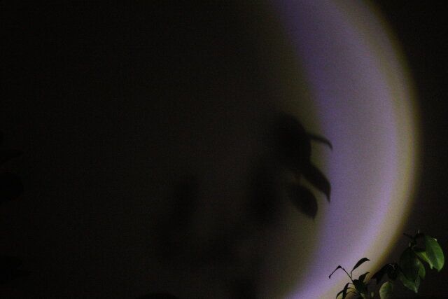 ダイソーの三日月ライトは幻想的な雰囲気作りにぴったり