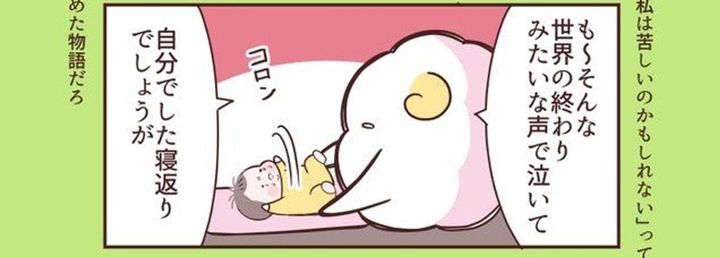 作者：紗茶みすけ（＠misuke_fam）さん