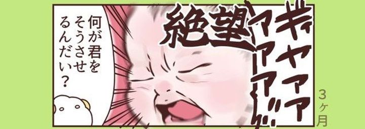 作者：紗茶みすけ（＠misuke_fam）さん