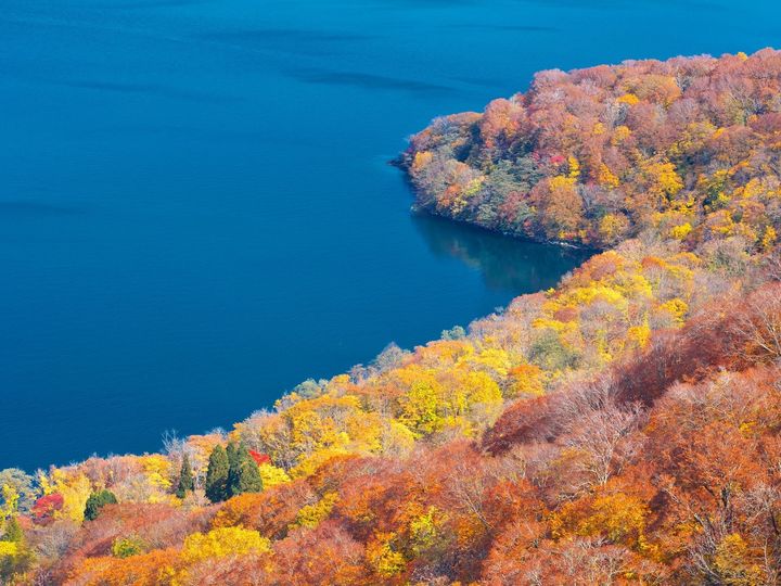 All About ニュース編集部は「秋に行きたい絶景ドライブスポット（北海道・東北地方）」に関するアンケート調査を実施。「秋に行きたい秋田県の絶景ドライブスポット」ランキングで1位に選ばれたのは？
