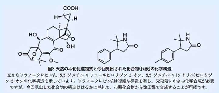 新たに発見されたふ化促進効果がある化合物