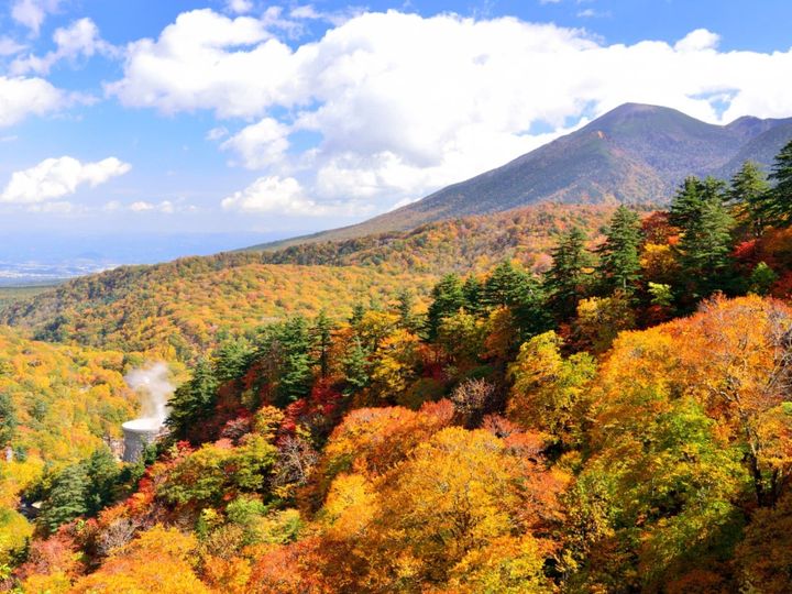 All About ニュース編集部が全国250人を対象に実施した絶景スポットに関するアンケート」の調査結果から、秋に行きたいと思う「岩手県の絶景スポット」ランキングを発表！ 2位「八幡平」を抑えた1位は？