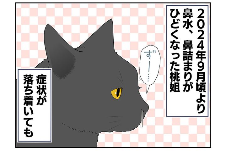 【マンガ・老猫日誌＃39】老猫と鼻水とクシャミ〜19歳の元保護猫・桃姐