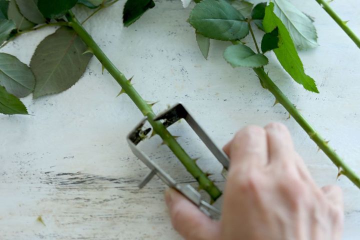 鉄製のトゲ取りグッズ