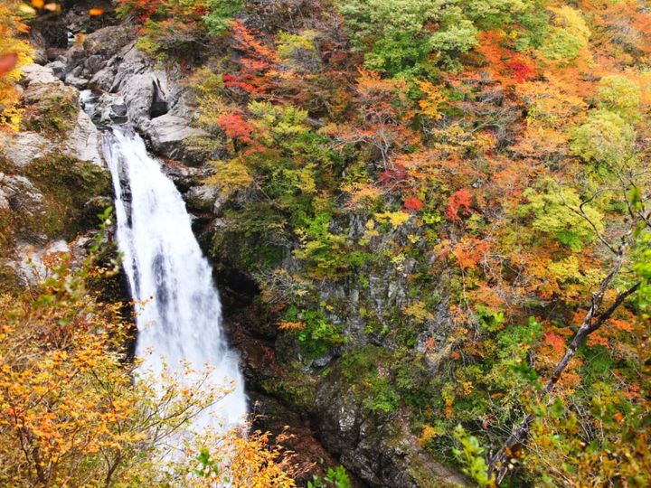 All About ニュース編集部が全国250人を対象に実施した絶景スポットに関するアンケート」の調査結果から、秋に行きたいと思う「宮城県の絶景スポット」ランキングを発表！ 2位「秋保大滝」を抑えた1位は？