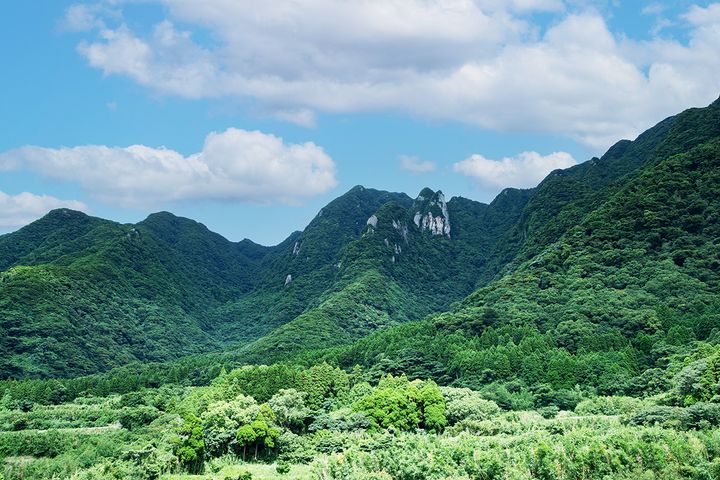 ボタニカルファクトリー