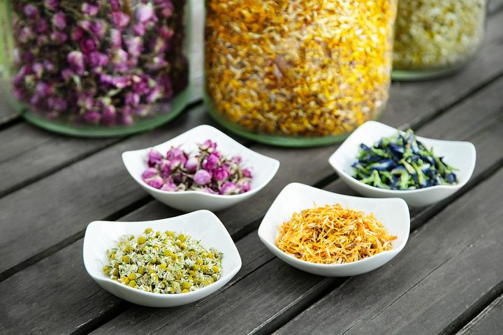 ヴィーナスターオーガニクス