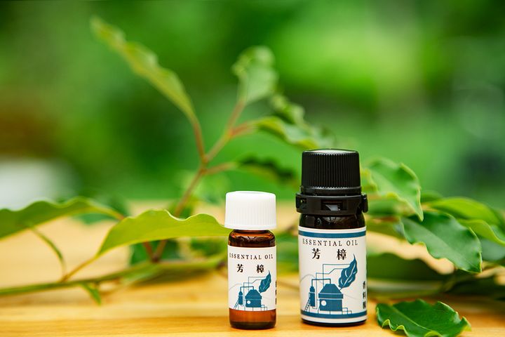 開聞山麓香料園