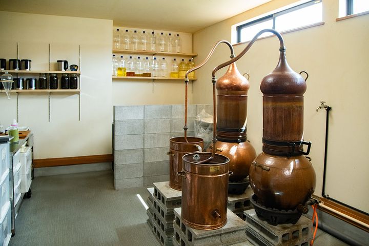 ヴィーナスターオーガニクス