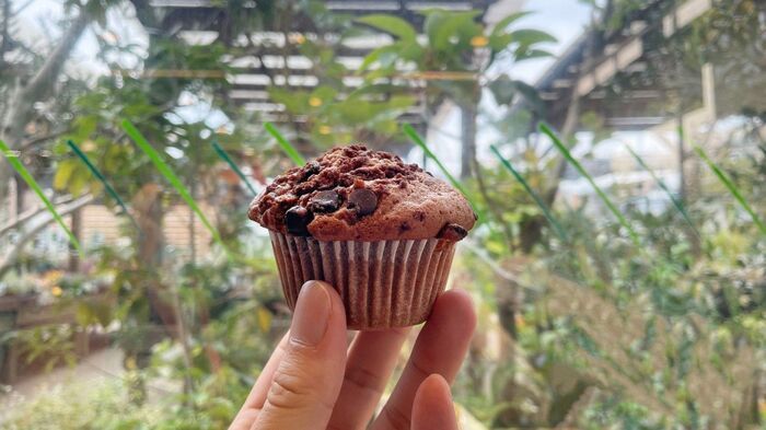 あのカインズで“寝坊モーニング”発見！？コスパ最強×本格マフィンが話題の「CAFE BRICCO」が見逃せない！