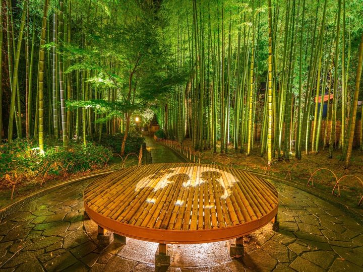 修善寺温泉は、伊豆半島の中央に位置する伊豆最古の温泉地。桂川沿いに広がる歴史ある街並みと、弘法大師ゆかりの「独鈷の湯」、そして「竹林の小径」が最大の魅力です。