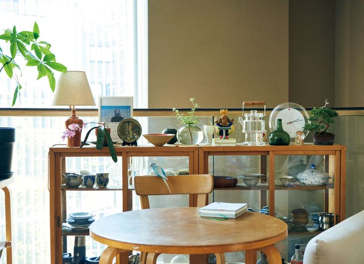 ファレノプシス シレリアナ