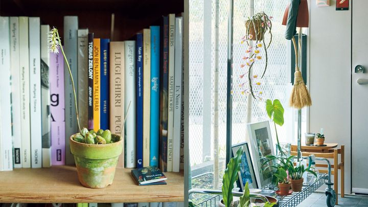 写真家・当山礼子と植物