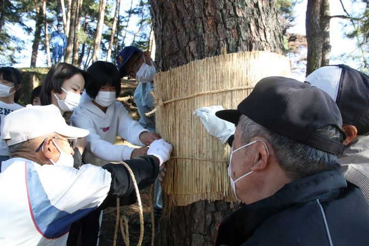 各SNSで23日、二十四節気（にじゅうしせっき）という言葉と共に、霜降（そうこう）がトレンドに並びました。