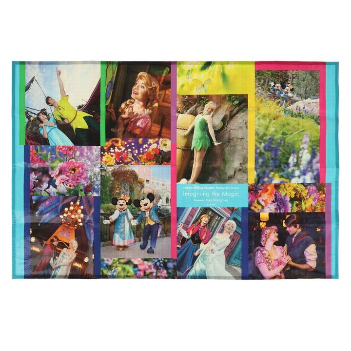 レジャーシート