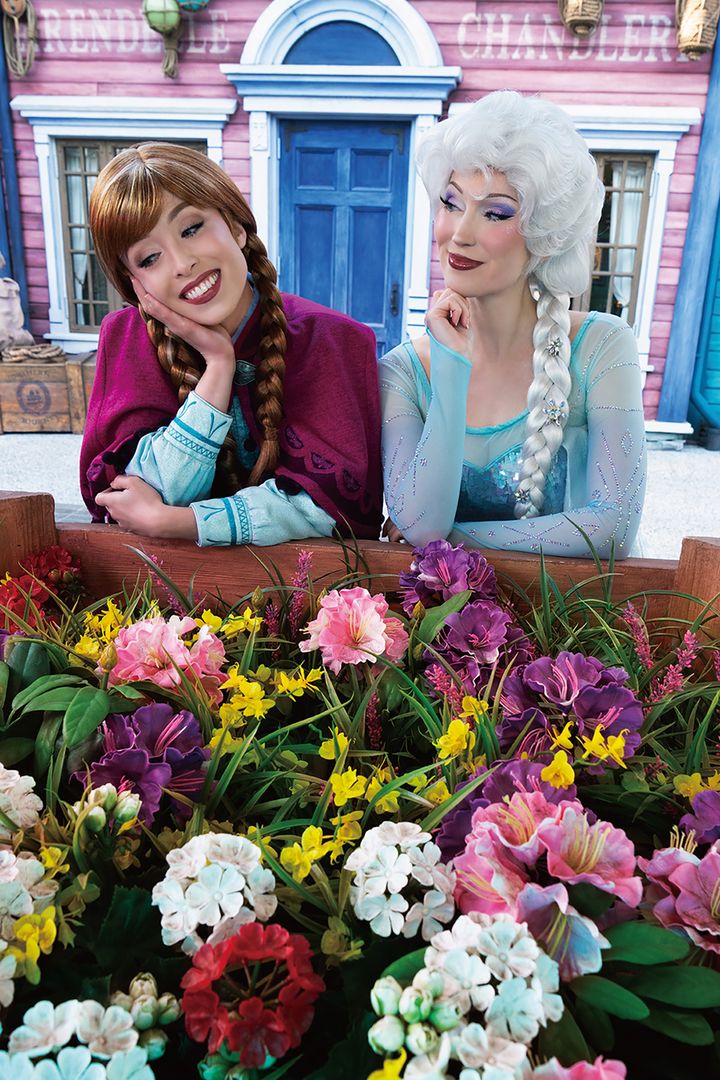 ポストカードセット (アナと雪の女王)2