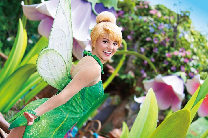 ポストカードセット (ティンカーベル)2