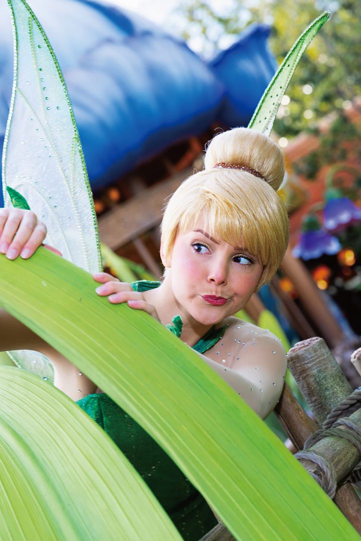 ポストカードセット (ティンカーベル)