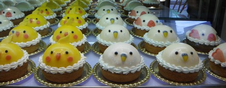 毎日なにかしらの記念日が制定されていますが、10月24日は「て（10）に（2）しあわせ（4）」というなんともほっこりする語呂合わせから、「文鳥の日」と制定されています。