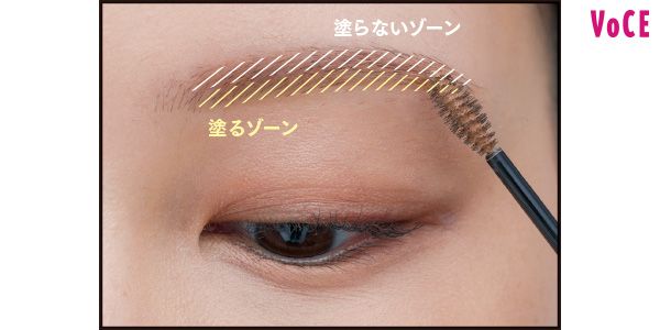 塗らいないゾーン 塗るゾーン