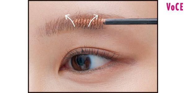 毛の存在感を薄めるためにブラシを往復させながら、毛の表裏にBをまんべんなく塗る。最後は毛流れに沿うように流していく。