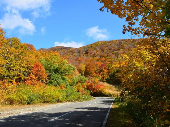 All About ニュース編集部は「秋に行きたい絶景ドライブスポット（北海道・東北地方）」に関するアンケート調査を実施。「秋に行きたい福島県の絶景ドライブスポット」ランキングで1位に選ばれたのは？