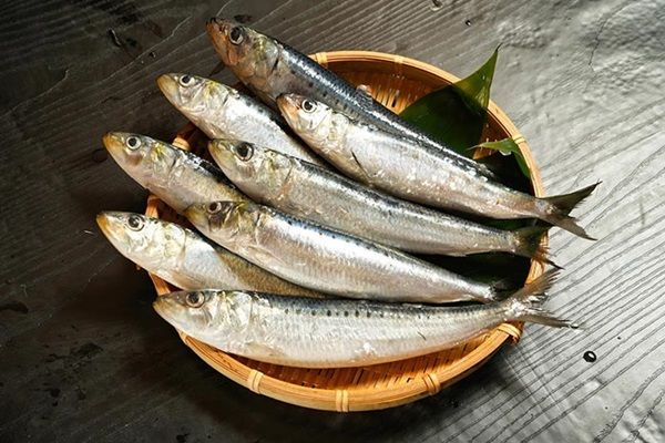 【東京都千代田区】丸の内グラウンドで銚子の食文化を楽しめるイベント開催！試食メニュー＆お土産も用意