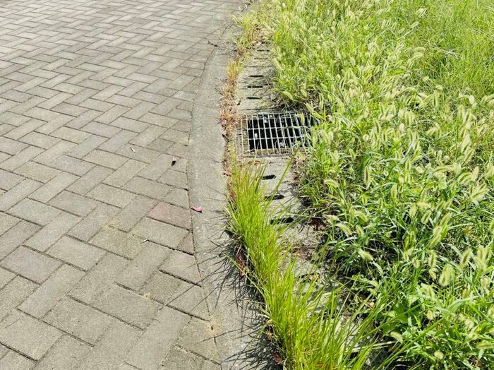 段ボールの端切れを持ってお散歩したら…とんでもなくかわいいモノができあがりました♡